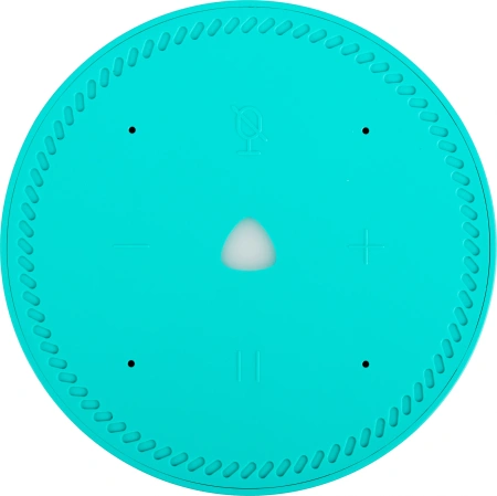 Умная колонка Yandex Станция Лайт голос.п.:Алиса бирюзовый 5W 1.0 BT 10м (YNDX-00025G)