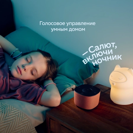 Умная колонка Sber Boom Home SBDV-00171G Салют серый 8W Mono BT/Wi-Fi (без.бат)