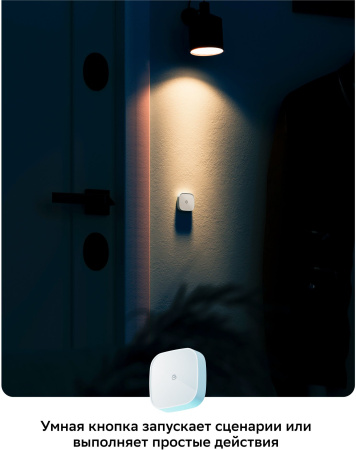 Умная кнопка Sber SBDV-00032 р.д.22м белый