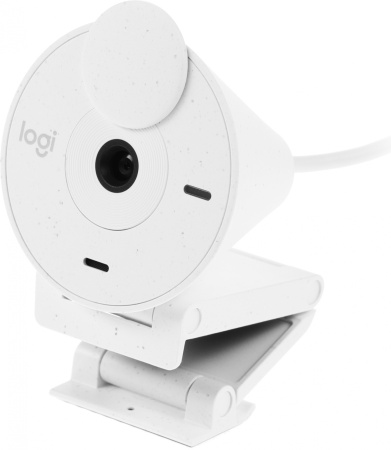 Камера Web Logitech HD Webcam Brio 300 белый 2Mpix (1920x1080) USB Type-C с микрофоном (960-001442)