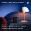 Умная колонка Yandex Станция Миди YNDX-00054ORG голос.п.:Алиса оранжевый 24W 1.0 BT/Wi-Fi 10м