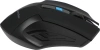 Мышь Defender Accura MM-275 черный/синий оптическая 1600dpi беспров. USB 5but (52275)