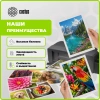 Фотобумага Cactus CS-MA6120500ED A6/120г/м2/500л./белый матовое/матовое для струйной печати