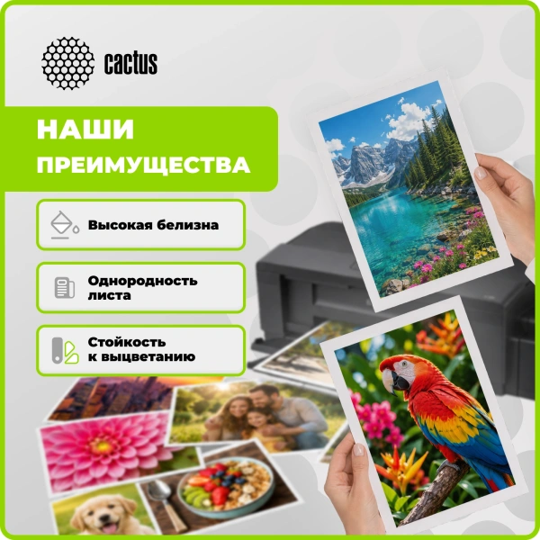 Фотобумага Cactus CS-MA6120500ED A6/120г/м2/500л./белый матовое/матовое для струйной печати