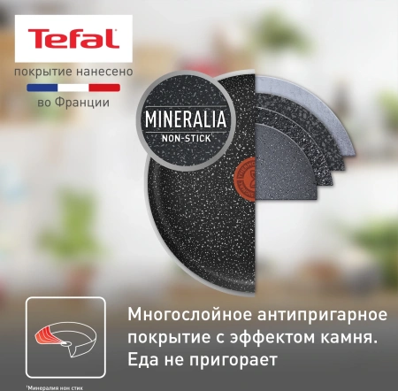 Сковорода Tefal Rock 04235126 круглая 26см покрытие: Mineralia ручка несъемная (без крышки) черный