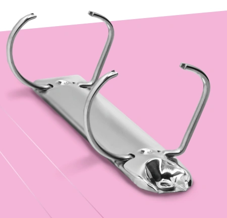 Папка на 2-х D-кольцах Бюрократ Gems GEM0812/2RPIN A4 пластик 0.7мм кор.32мм торц.карм с бум. встав розовый аметист