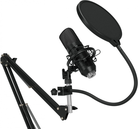 Микрофон проводной Оклик SM-600G 2.5м черный