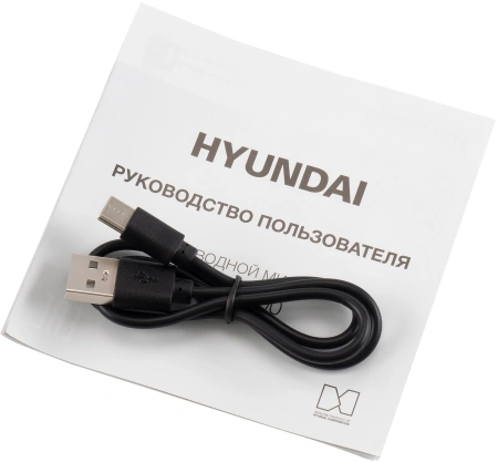 Микрофон беспроводной Hyundai H-MIC100 черный