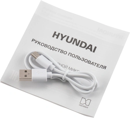 Микрофон беспроводной Hyundai H-MIC101 черный