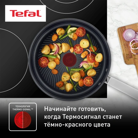 Сковорода Tefal Intuition B8170544 круглая 26см покрытие: Titanium ручка несъемная (без крышки) черный (2100125770)