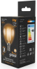 Лампа филам. Gauss Filament 9Вт цок.:E14 шар 220B 2700K св.свеч.бел.теп. (упак.:10шт) (105801109)