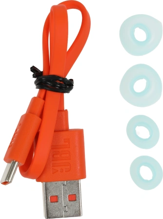 Гарнитура вкладыши JBL Wave Buds мятный беспроводные bluetooth (JBLWBUDSMIT)