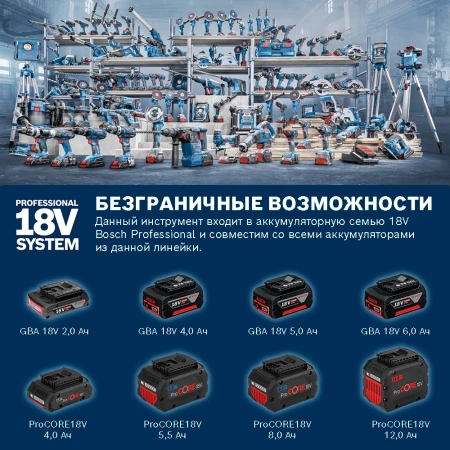 Эксцентриковая шлифмашина Bosch GEX 18V-125 D125мм аккум. (0601372201)