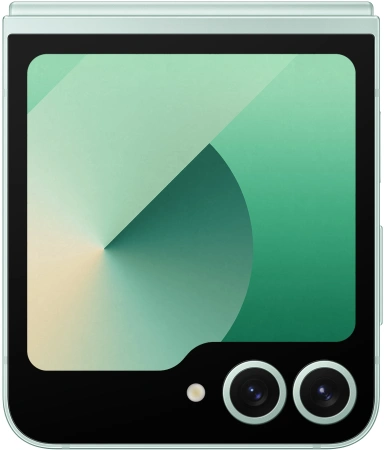 Смартфон Samsung SM-F741B Galaxy Z Flip 6 256Gb 12Gb мятный раскладной 3G 4G 1Sim 6.7" 1080x2640 Android 14 50Mpix 802.11 a/b/g/n/ac/ax NFC GPS GSM900/1800 GSM1900 TouchSc Protect