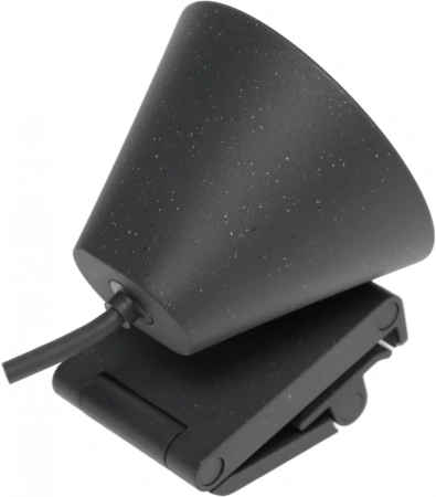 Камера Web Logitech HD Webcam Brio 300 черный 2Mpix (1920x1080) USB Type-C с микрофоном (960-001436)
