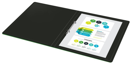 Папка на 2-х кольцах Buro -ECB413/2RBLACK A4 пластик 0.5мм черный