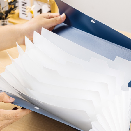 Папка-портфель Deli EF606 на кнопке 8 отдел. A4 пластик ассорти