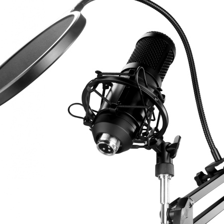 Микрофон проводной Оклик SM-600G 2.5м черный