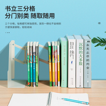 Подставка-ограничитель для книг Deli 78641-01 415х220мм цв.белый