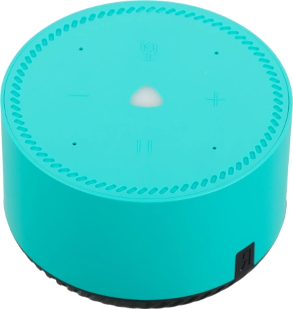Умная колонка Yandex Станция Лайт голос.п.:Алиса бирюзовый 5W 1.0 BT 10м (YNDX-00025G)