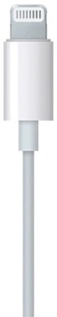 Гарнитура вкладыши Apple EarPods A1748 1.1м белый проводные в ушной раковине (MWTY3FE/A)