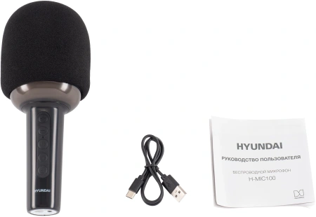 Микрофон беспроводной Hyundai H-MIC100 черный
