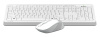 Клавиатура + мышь A4Tech Fstyler FG1010S клав:белый/серый мышь:белый/серый USB беспроводная Multimedia (FG1010S WHITE)
