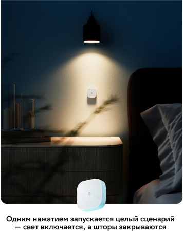 Умная кнопка Sber SBDV-00032 р.д.22м белый