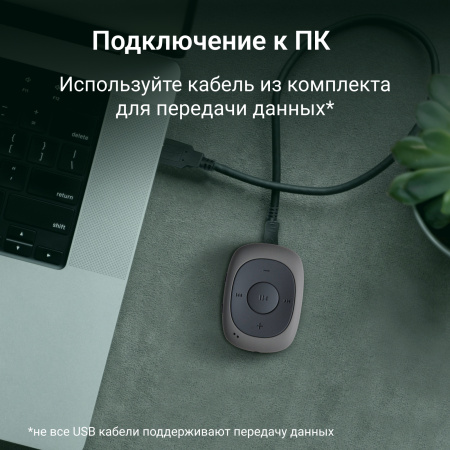 Плеер Flash Digma C2L 4Gb серый/FM/clip