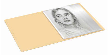 Папка-портфолио с 40 прозр.вклад. Бюрократ Gems GEMPP40CREAM A4 пластик 0.7мм карм.на лиц.стор. кремовый жемчуг