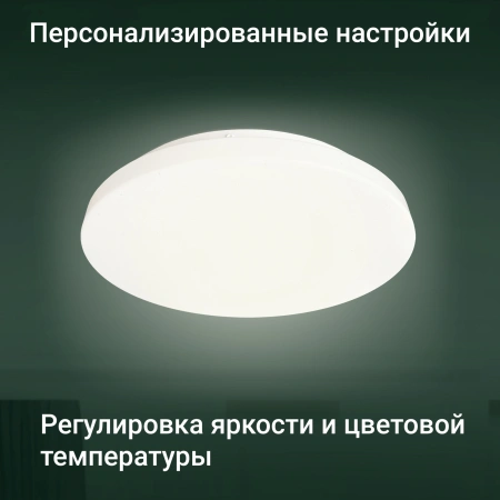 Умный светильник Digma TopLight TL25 потолоч. белый (TL25)