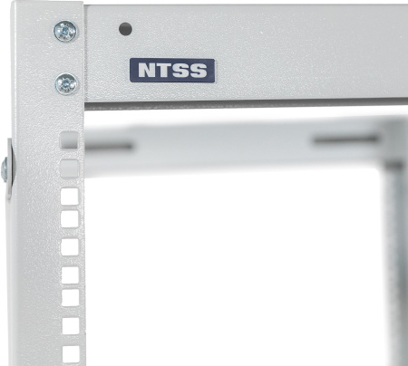 Стойка двухрамная NTSS (NTSS-2POR42U/600-1000) 42U 550ммx1000мм 600кг серый