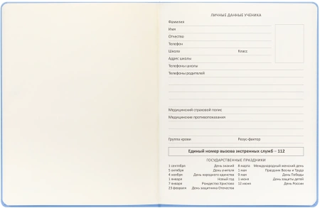 Дневник школьный Deli CN150-YELL желтый 48л. универс. обл.тверд. мел.карт.