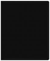 Папка на 2-х кольцах Buro -ECB0420/2RBLACK A4 пластик 0.5мм черный