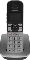 Р/Телефон Dect Panasonic KX-TGE510RUS серебристый АОН
