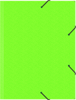 Папка на резинке Бюрократ Double Neon DNE510LETTBL A4 пластик кор.30мм 0.5мм салатовый/черный