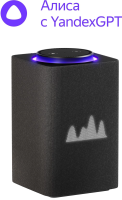 Умная колонка Yandex Станция Макс Zigbee голос.п.:Алиса графитовый 65W 1.0 BT/Wi-Fi 10м (YNDX-00053K