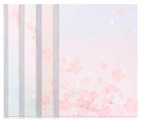 Тетрадь Deli SAKURA WA540 A5 40л линейка ассорти