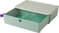 Короб для хранения Deli XDM31green 1 выдвижной ящик 250x220x125мм 3 разделителя зеленый пластик