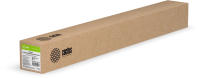 Бумага Cactus CS-PSG200-106730 42"(A0+) 1067мм-30м/200г/м2/белый полуглянцевое сатин для струйной печати