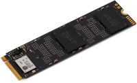 Накопитель SSD Digma PCIe 4.0 x4 1TB DGSM4001TS69T Meta S69 M.2 2280