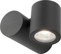 Светильник садово-парк. Gauss GD151 35Вт ламп.:1шт черный