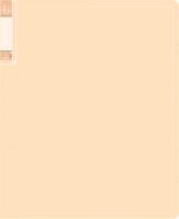 Папка с 20 прозр.вклад. Бюрократ Gems GEM20CREAM A4 пластик 0.7мм торц.карм с бум. встав кремовый жемчуг