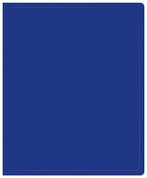 Папка на 2-х кольцах Buro -ECB0420/2RBLUE A4 пластик 0.5мм синий