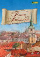 Папка для акварели Silwerhof 914006-24 A4 10л. бум.180г/м2