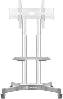 Стойка для телевизора Onkron TS1351 белый 32"-65" макс.50кг напольный мобильный