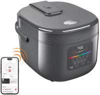 Мультиварка Redmond MC100S 5л 860Вт серый