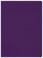 Папка с 10 прозр.вклад. Бюрократ DeLuxe DLV10BBERRY A4 пластик 0.7мм черничный