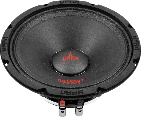 Колонки автомобильные Ural АС-ПТ165.2 ГРОМ (без решетки) 600Вт 99.7дБ 4Ом 16.5см (6 1/2дюйм) (ком.:1кол.) широкополосные однополосные