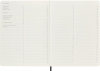 Блокнот Moleskine PROFESSIONAL SOFT PROPFNTB4SBK XLarge 190х250мм 192стр. мягкая обложка черный